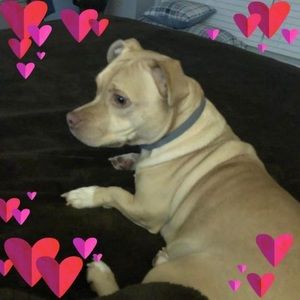 Meet your Posher, Diane